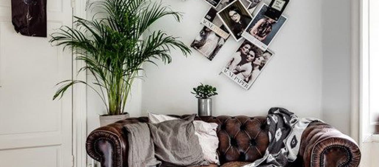 El sofá Chester, un clásico que vuelve (o que nunca se fue)