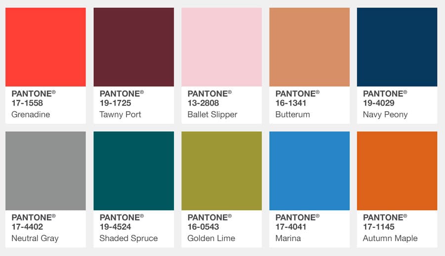 Tu espacio Navy Peony, full tendencia