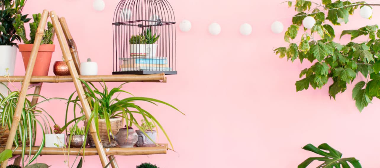 Green & Pink: una combinación inesperada