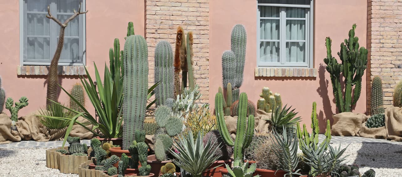 Los 10 pasos para hacer un jardín seco y ahorrar agua este verano