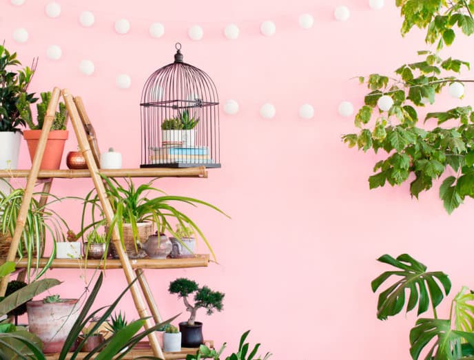 Green & Pink: una combinación inesperada