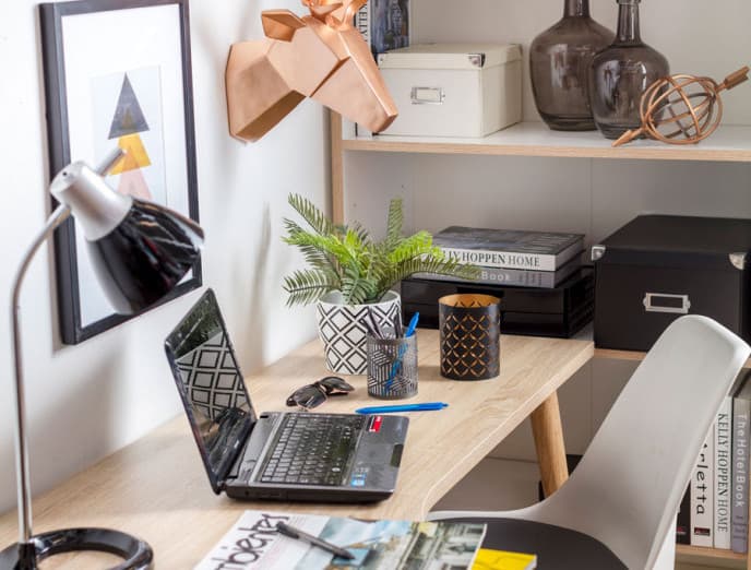 ¿Deco masculina o femenina? ¡Tú eliges!