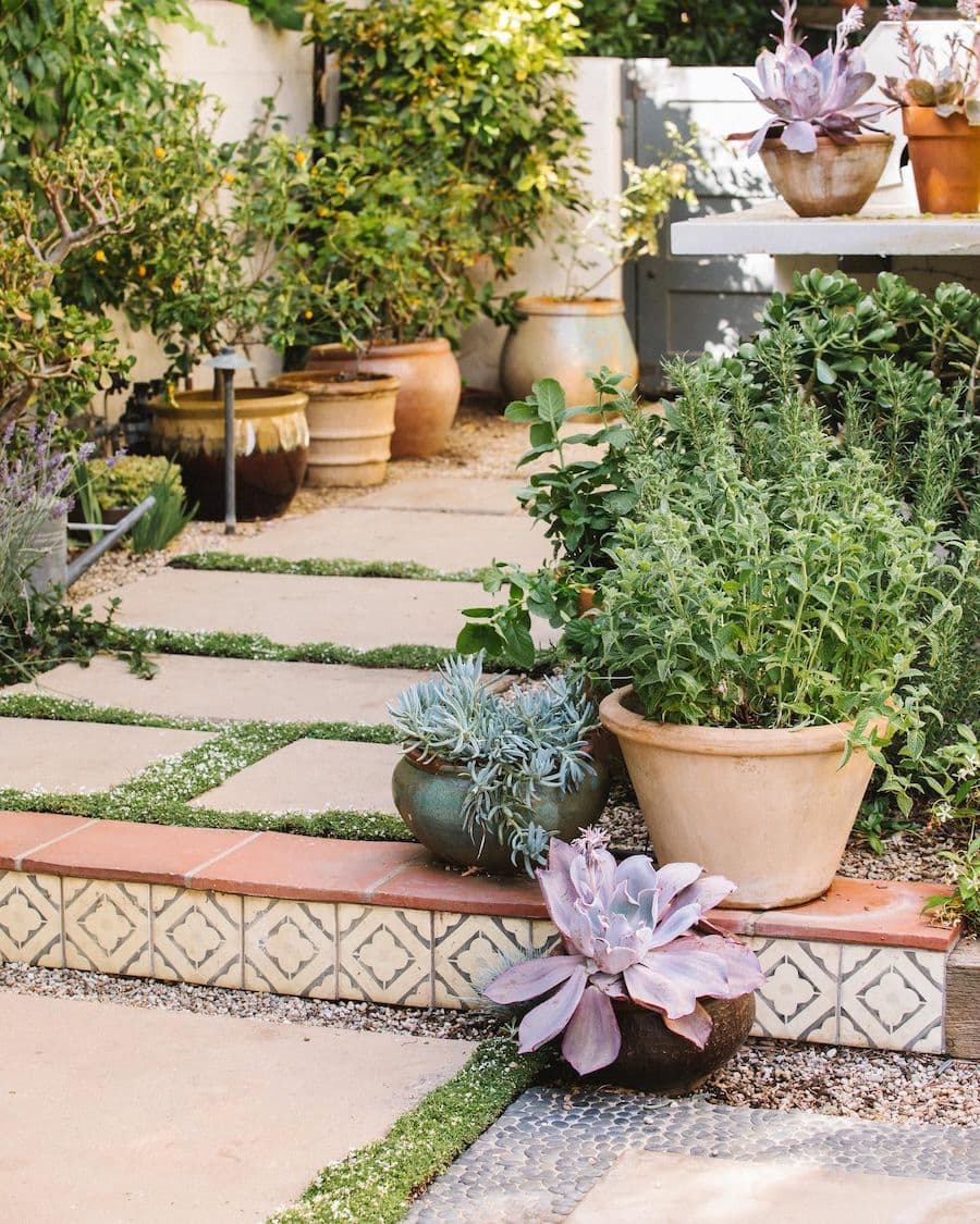 Pequeña terraza con un jardín con plantas en macetas de arcilla.
