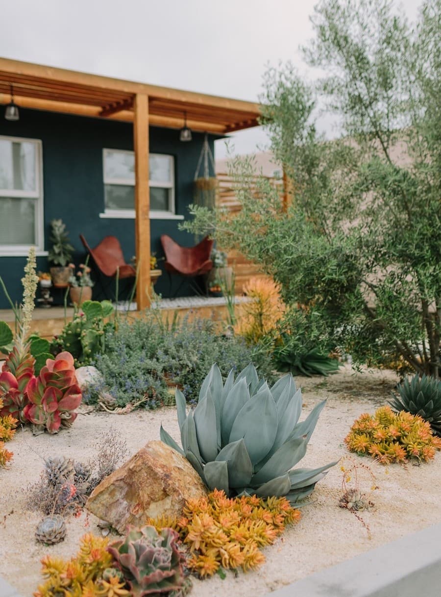 Jardín seco con plantas suculentas y cactus sobre tierra y pequeñas piedras blancas, Atrás de ve una casa de color verde con una terraza.