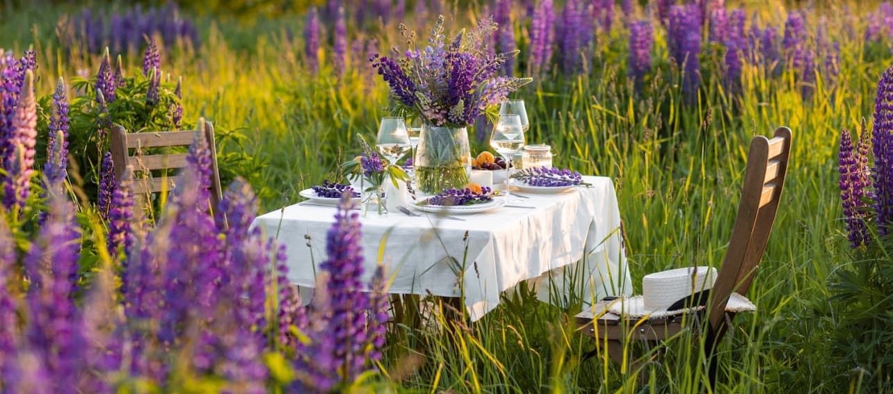 Conoce las 6 plantas de exterior más resistentes al frío y al calor