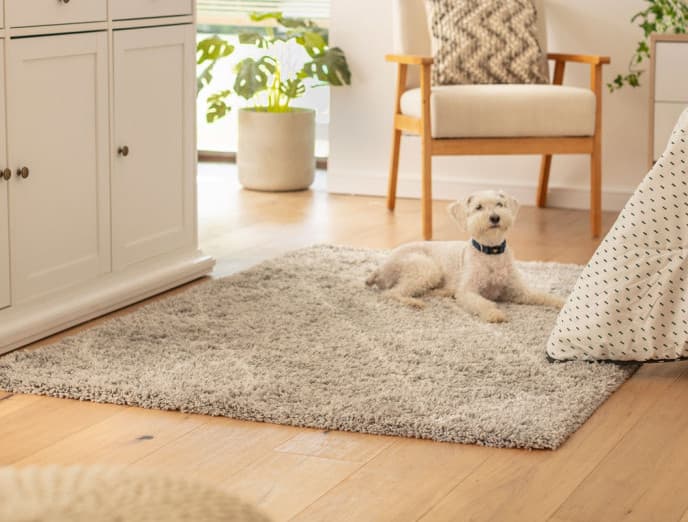 ¿Quieres cambiar los pisos? Revisa este checklist